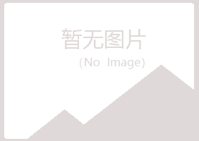 铁岭夏槐机械有限公司